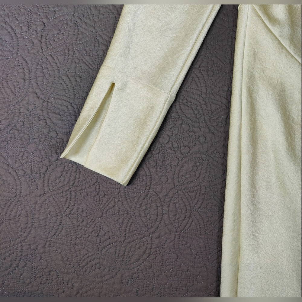 Massimo Dutti limited edition satin dress - Picture 4 of 6